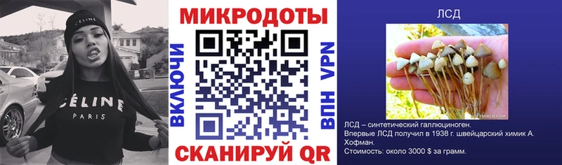 Купить где  Весьегонск  Псилоцибиновые грибы Cubensis 